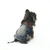 Dog wearing a denim jacket on a white background