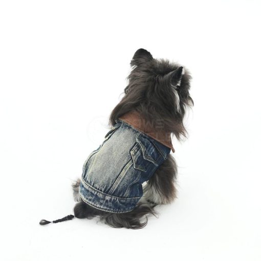 Dog wearing a denim jacket on a white background