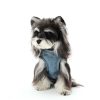Dog wearing a denim outfit on a white background