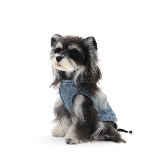 Dog wearing a denim outfit on a white background