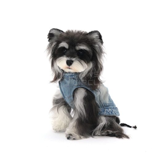Dog wearing a denim outfit on a white background