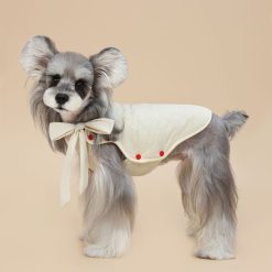 Small dog wearing a white outfit with red buttons and a bow tie on a beige background