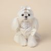 Small white dog wearing a decorative outfit with a bow on a beige background