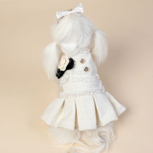 White dog dress with buttons and a bow on a beige background