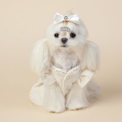 Small white dog wearing a decorative outfit with a bow on a beige background