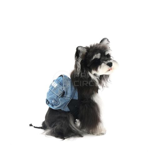 Dog wearing a denim backpack on a white background