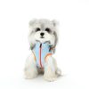 Small dog wearing a light blue jacket with orange trim on a white background