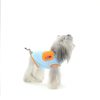 Small dog wearing a light blue and orange outfit on a white background