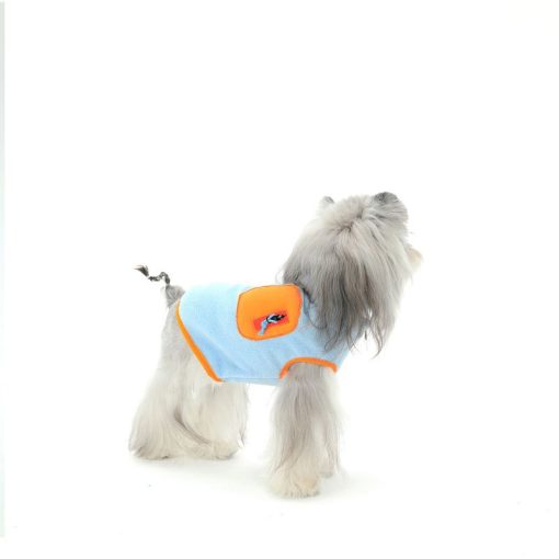 Small dog wearing a light blue and orange outfit on a white background