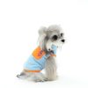 Small dog wearing a light blue and orange fleece jacket on a white background