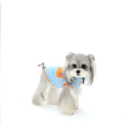 Small dog wearing a light blue jacket with orange accents on a white background