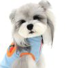 Small dog wearing a light blue sweater with orange accents on a white background