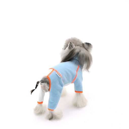 Dog wearing a light blue outfit with orange accents on a white background