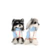 Two dogs wearing light blue outfits with orange accents on a white background