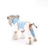 Dog wearing a light blue and white outfit with orange trim on a white background