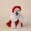 Small dog wearing a red outfit with a white background