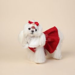 Small white dog wearing a red sweater and bow on a beige background
