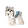 Small dog wearing a denim harness on a white background