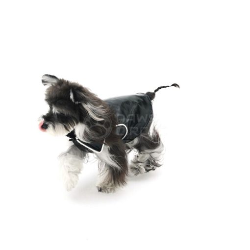 Small dog wearing a black raincoat on a white background