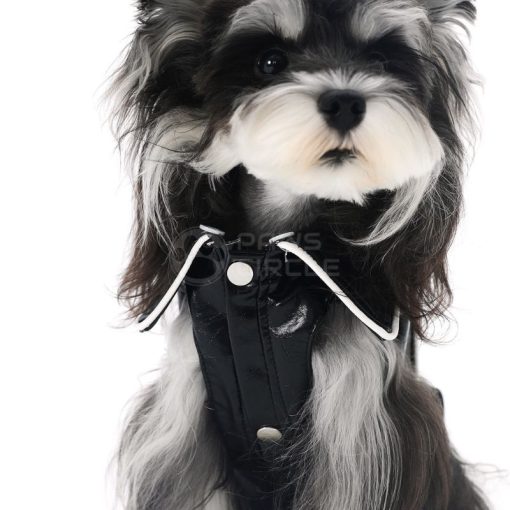 Dog wearing a black leather jacket with white buttons on a white background