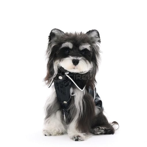 Dog wearing a black and gray costume with a hood on a white background