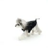 Dog wearing a black raincoat on a white background