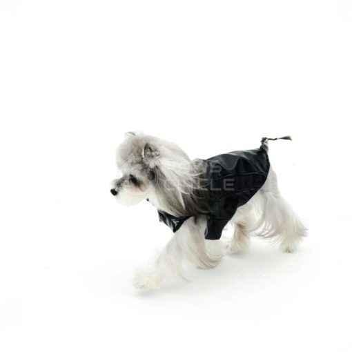 Dog wearing a black raincoat on a white background