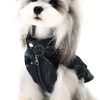 Dog wearing a black leather jacket with a paw print design on a white background