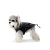 Small dog wearing a black harness on a white background