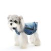 Small dog wearing a denim jacket on a white background
