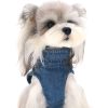 Dog wearing a blue denim harness on a white background