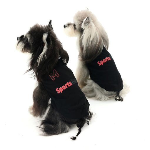 Two dogs wearing black sweaters with 'Sports' printed on them against a white background.