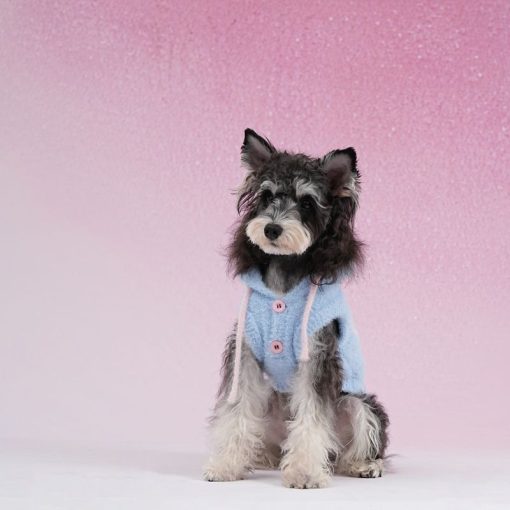 dog wearing blue fleece hoodie