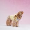 dog wearing yellow fleece hoodie