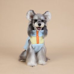 Dog wearing a colorful outfit with a pastel blue sweater and yellow shirt on a beige background