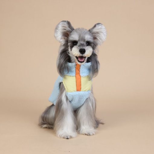 Dog wearing a colorful outfit with a pastel blue sweater and yellow shirt on a beige background