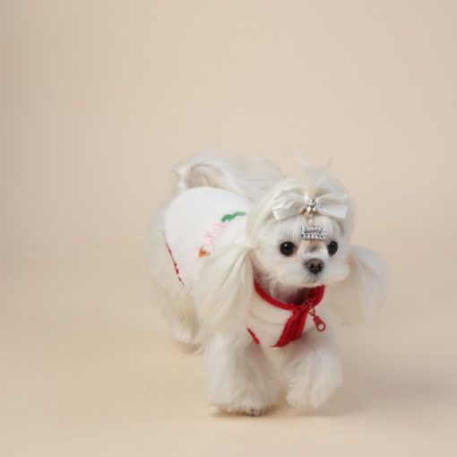 Small white dog wearing a festive outfit with a red scarf and white hat on a beige background