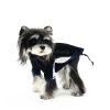 Dog wearing a black hoodie with blue trim on a white background