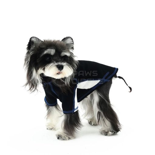 Dog wearing a black hoodie with blue trim on a white background