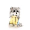 Small dog wearing a yellow and blue outfit on a white background