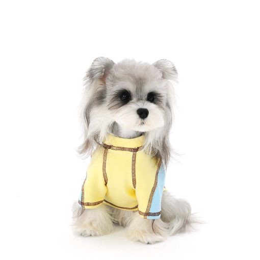 Small dog wearing a yellow and blue outfit on a white background