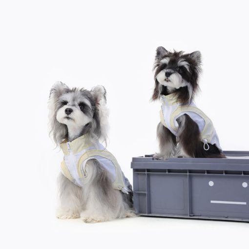 Two small dogs wearing white windbreaker sitting on a gray platform with a white background