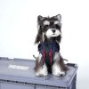 Dog wearing a blue jacket with red accents on a gray platform labeled 'PAWSMOMENT'.
