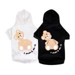 Broken Bear Hoodie