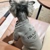 prada sweater for dogs