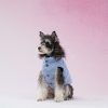 reversible plaid jacket for dogs