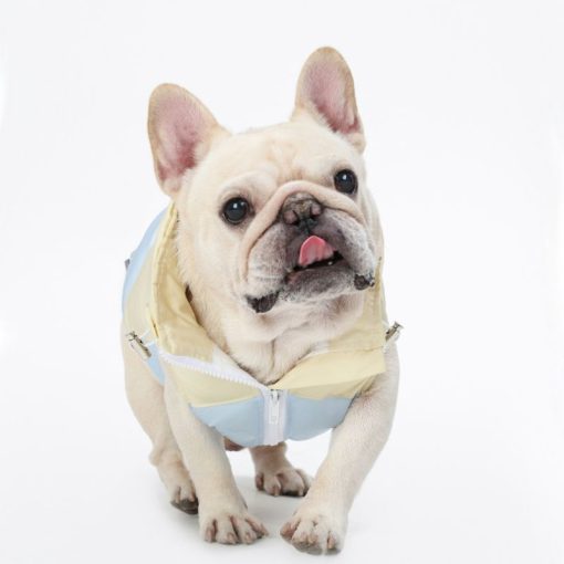 Two Tone jacket with packable hood for dog