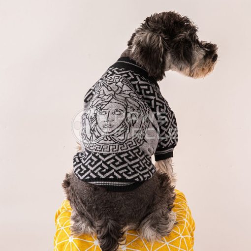 versace medusa sweater for dog