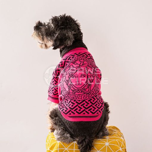 versace medusa sweater for dog