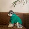 premium dog clothing